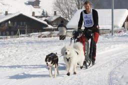 Lenk 2012 SM
